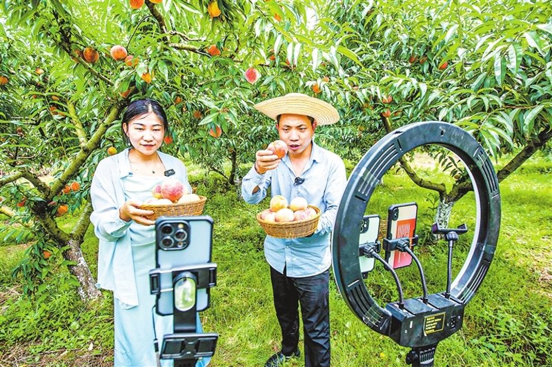 电商运营外包：企业在数字化转型中的新选择